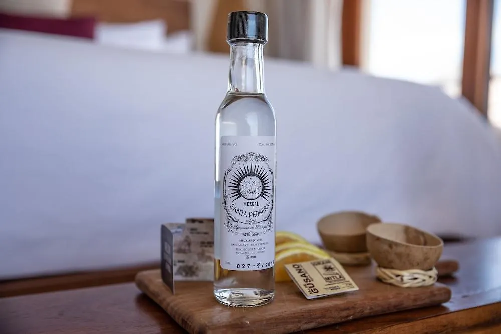 La Zebra Colibri Boutique Hotels 툴룸