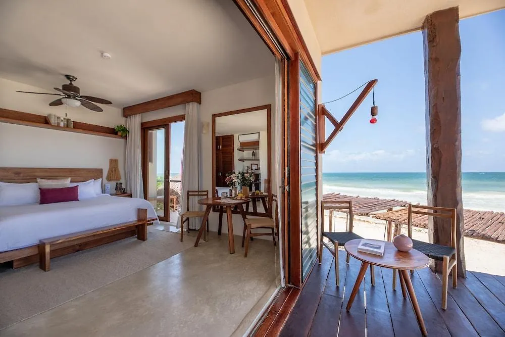 La Zebra Colibri Boutique Hotels 툴룸