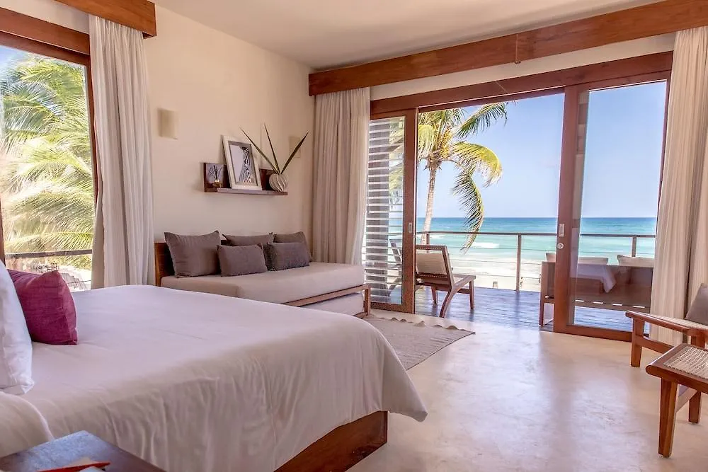 La Zebra Colibri Boutique Hotels 툴룸