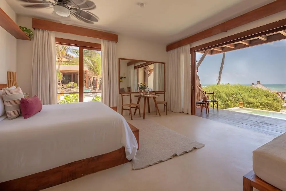 La Zebra Colibri Boutique Hotels 툴룸