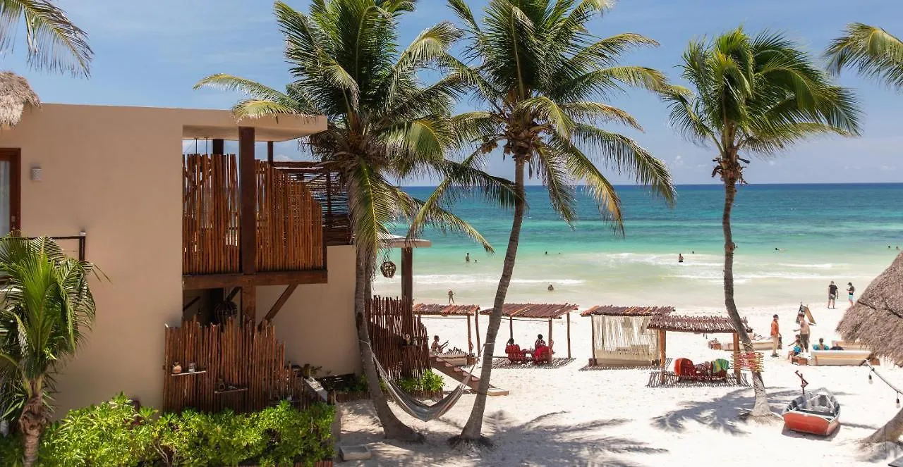La Zebra Colibri Boutique Hotels 툴룸