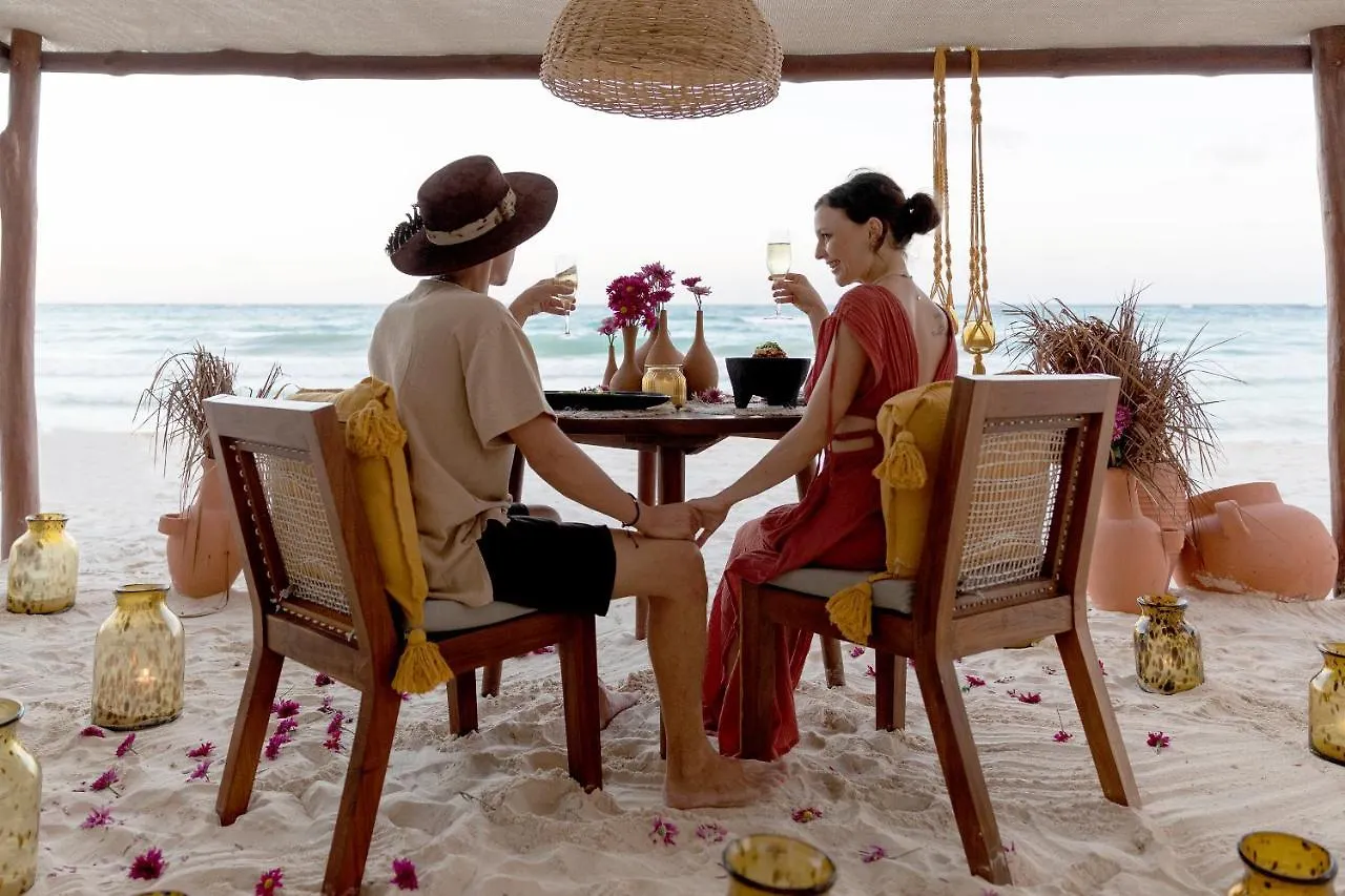 La Zebra Colibri Boutique Hotels 툴룸