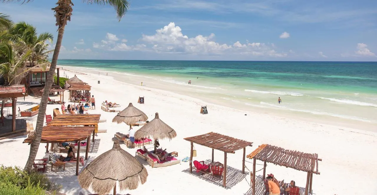 La Zebra Colibri Boutique Hotels 툴룸