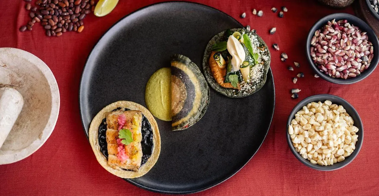 La Zebra Colibri Boutique Hotels 툴룸