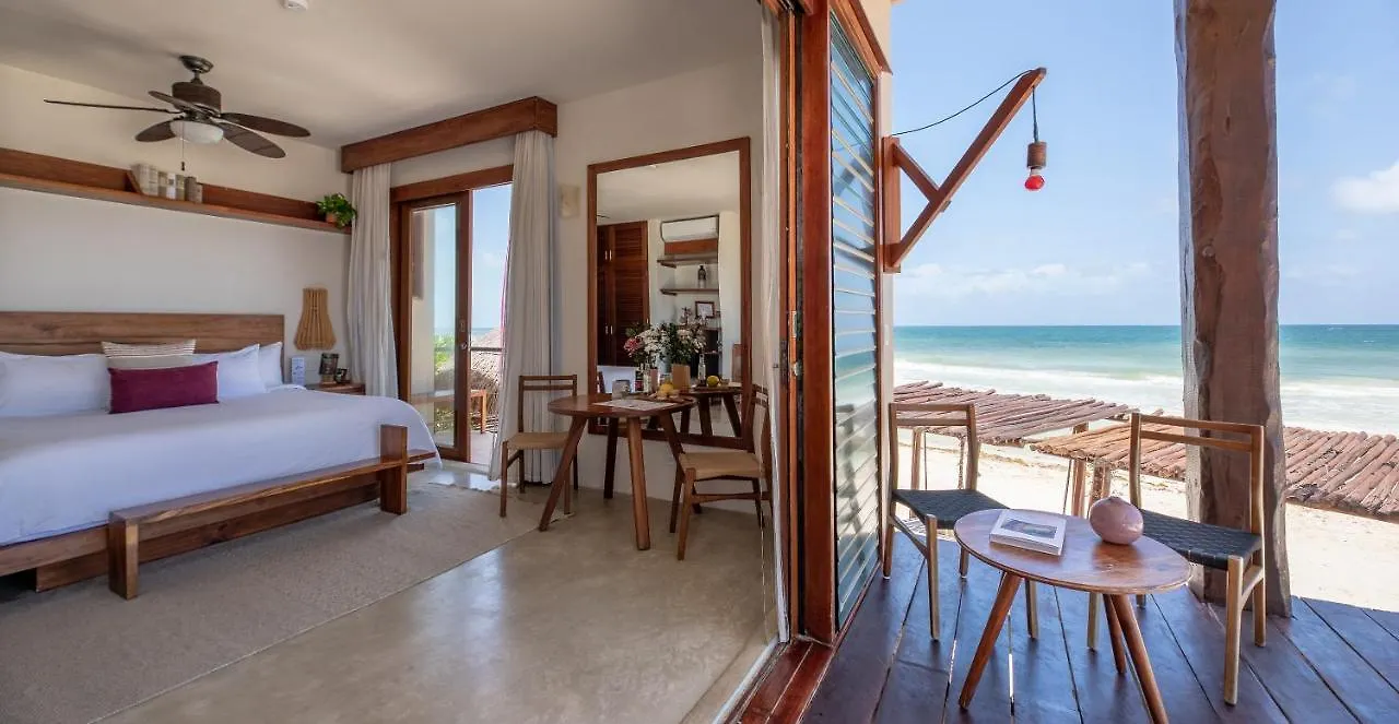 La Zebra Colibri Boutique Hotels 툴룸