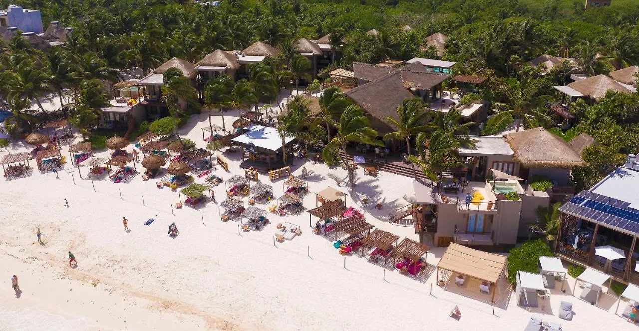 La Zebra Colibri Boutique Hotels 툴룸 멕시코