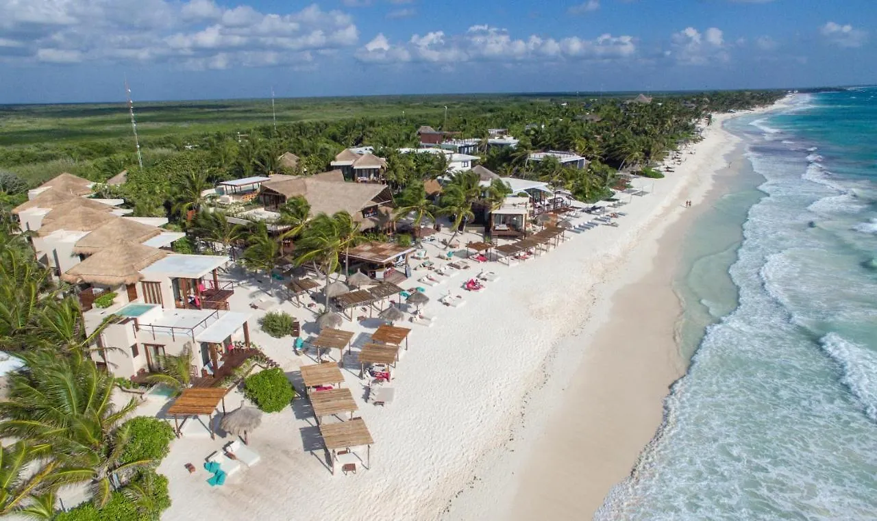 La Zebra Colibri Boutique Hotels 툴룸