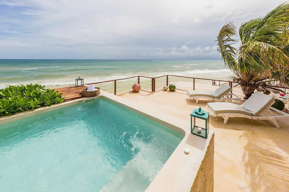 La Zebra Colibri Boutique Hotels 툴룸