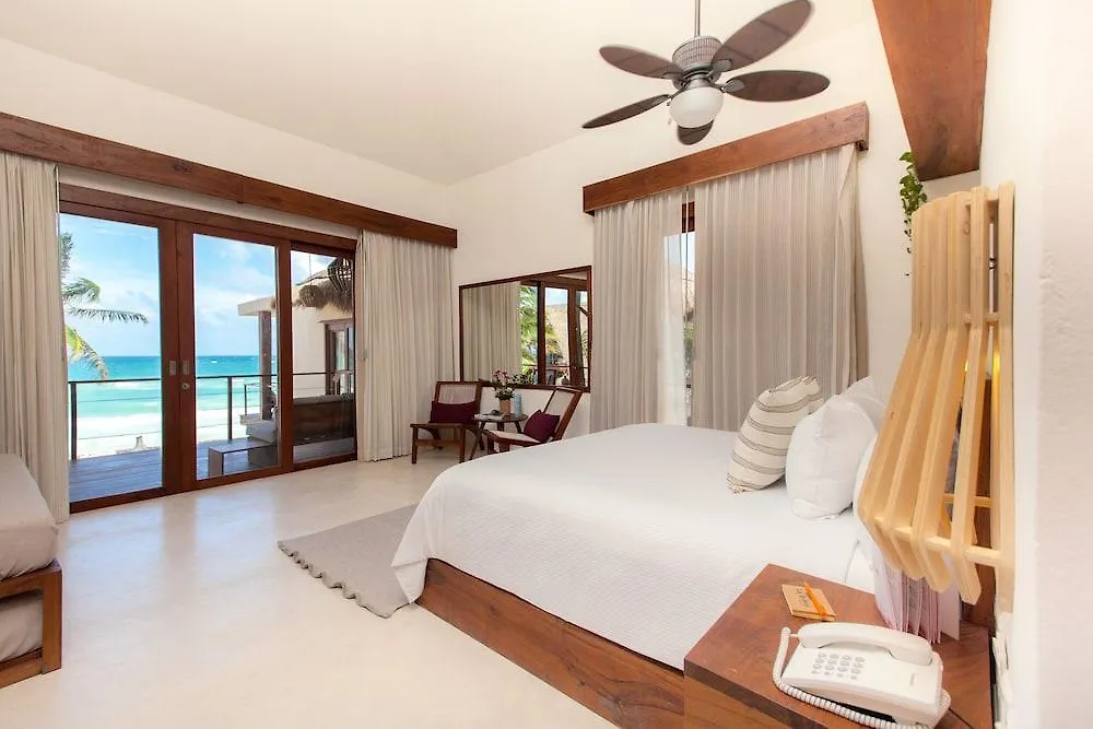 La Zebra Colibri Boutique Hotels 툴룸 4*,  멕시코