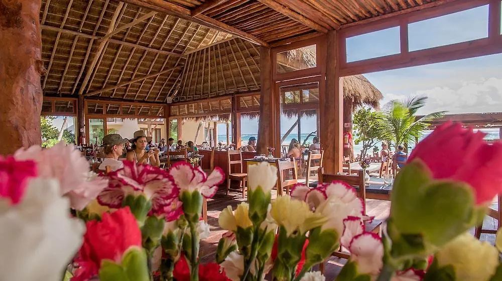 La Zebra Colibri Boutique Hotels 툴룸